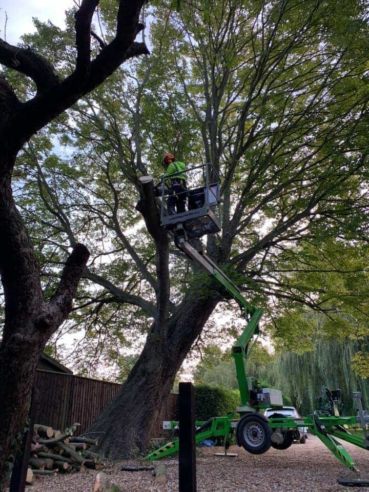 Image Gallery – Arbor Ash
